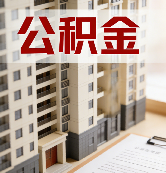 石家庄公积金代办行业新生态：从“跑腿中介”到“生活管家”的进化之路